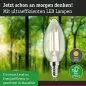 Preview: Paulmann 29195 Eco-Line Filament 230V LED Kerze E14 98mm 525lm 2,5W 3000K Klar