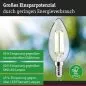 Preview: Paulmann 29196 Eco-Line Filament 230V LED Kerze E14 1er-Set 98mm 525lm 2,5W 4000K Klar