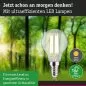 Preview: Paulmann 29198 Eco-Line Filament 230V LED Tropfen E14 82mm 525lm 2,5W 4000K Klar