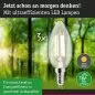 Preview: Paulmann 29199 Eco-Line Filament 230V LED Kerze E14 3er-Pack 98mm 525lm 2,5W 3000K Klar