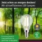 Preview: Paulmann 29200 Eco-Line Filament 230V LED Tropfen E14 3er-Pack 82mm 525lm 2,5W 3000K Klar