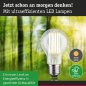 Preview: Paulmann 29219 Eco-Line Filament 230V LED Birne E27 1er-Set 1055lm 5W 3000K Klar