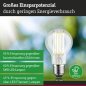 Preview: Paulmann 29219 Eco-Line Filament 230V LED Birne E27 1er-Set 1055lm 5W 3000K Klar