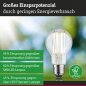 Preview: Paulmann 29221 Eco-Line Filament 230V LED Birne E27 1er-Set 1055lm 5W 4000K Klar