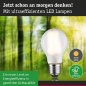 Preview: Paulmann 29223 Eco-Line Filament 230V LED Birne E27 1er-Set 525lm 2,5W 3000K Matt