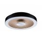 Preview: Paulmann 71178 LED Deckenleuchte Volea IP44 3000K 470lm / 1650lm 230V 3,5 / 1x13W dimmbar Schwarz/Gold