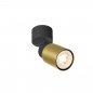 Preview: SLV Puri 2.0 Tube Wand- und Deckenaufbauleuchte 1x max. 6W GU10 schwarz / gold