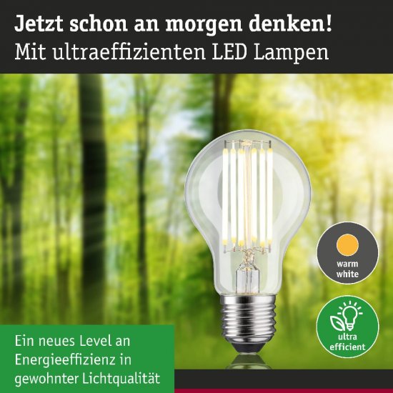 Paulmann 29219 Eco-Line Filament 230V LED Birne E27 1er-Set 1055lm 5W 3000K Klar