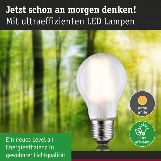 Paulmann 29223 Eco-Line Filament 230V LED Birne E27 1er-Set 525lm 2,5W 3000K Matt