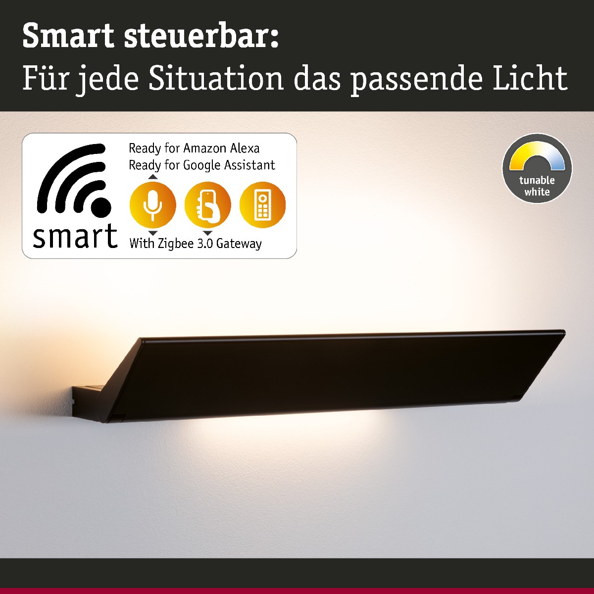 Paulmann 79507 Smart LED Wandleuchte Ranva Home Zigbee