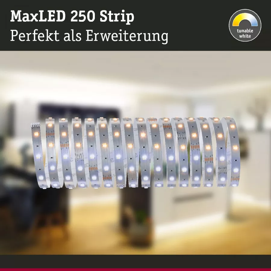 Paulmann 79863 MaxLED 250 LED Strip Tunable White Einzelstripe 5m 17,5W 270lm/m